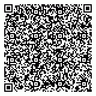 vCard 79397130138