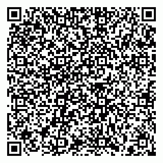 vCard 79397130173