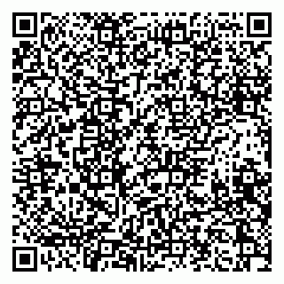 vCard 79397130221