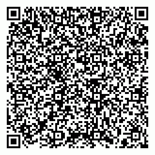 vCard 79397130293