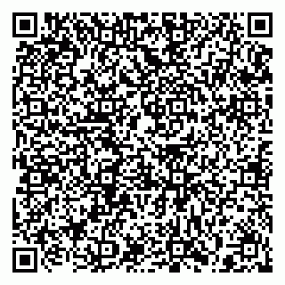 vCard 79397130319