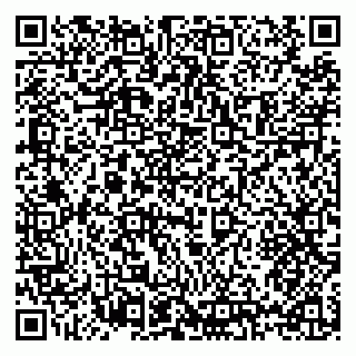 vCard 79397130331