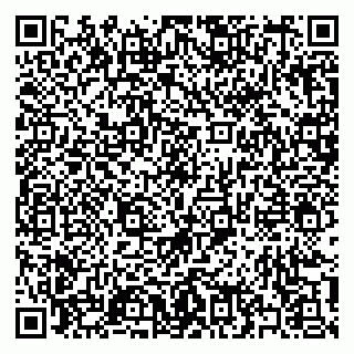 vCard 79397130413