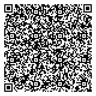 vCard 79397130521