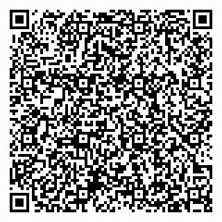 vCard 79397130739