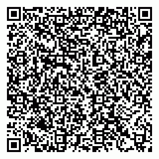 vCard 79397130873