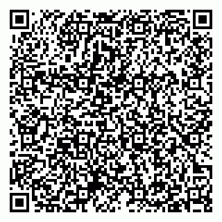 vCard 79397131002