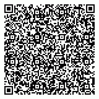 vCard 79397131003