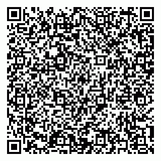 vCard 79397131008