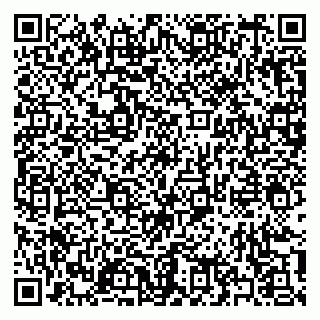 vCard 79397131013