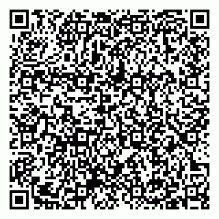 vCard 79397131018