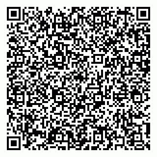 vCard 79397131019