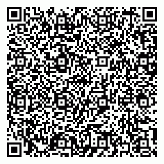 vCard 79397131027
