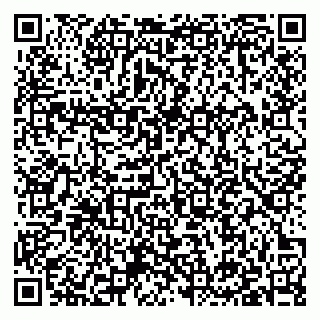vCard 79397131029