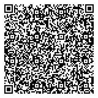 vCard 79397131031