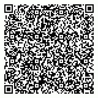 vCard 79397131032
