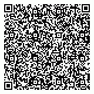 vCard 79397131033