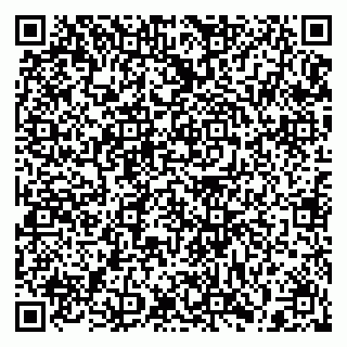 vCard 79397131081
