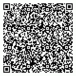 vCard 79397131103