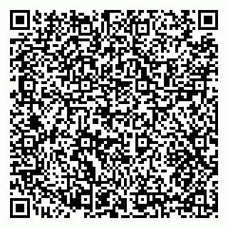 vCard 79397131233