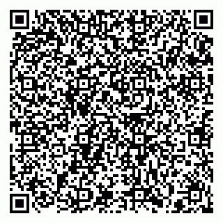 vCard 79397131253