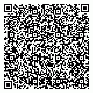 vCard 79397131271