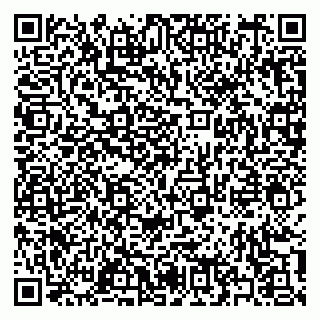 vCard 79397131291