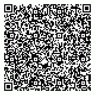 vCard 79397131299