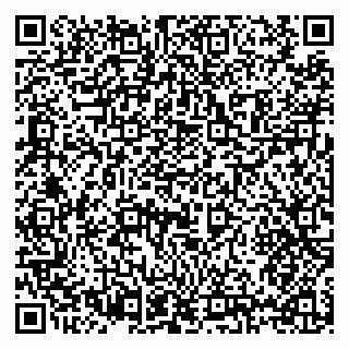 vCard 79397131304