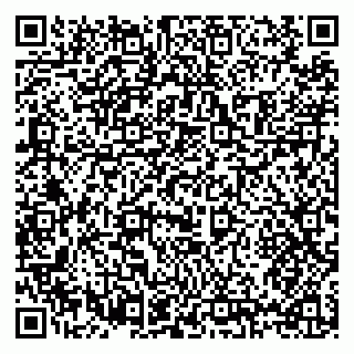 vCard 79397131313