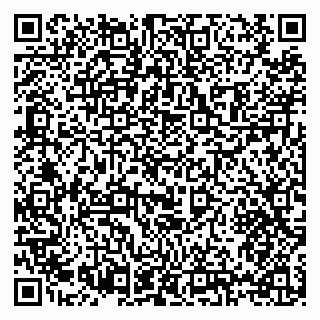 vCard 79397131321