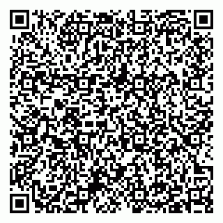 vCard 79397131376