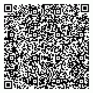 vCard 79397131378