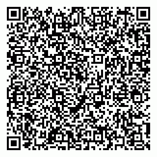vCard 79397131381
