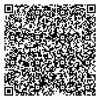 vCard 79397131404