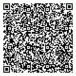 vCard 79397131507