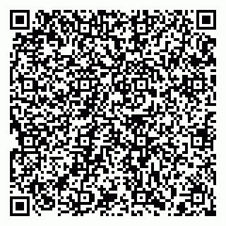 vCard 79397131527