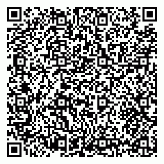 vCard 79397131529