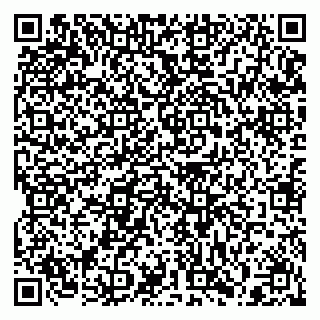vCard 79397131540