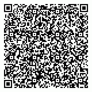 vCard 79397131739