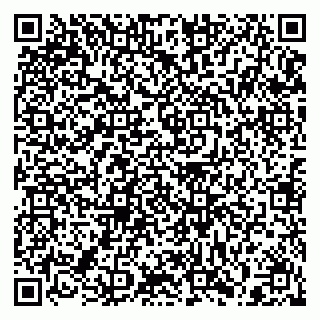 vCard 79397131813