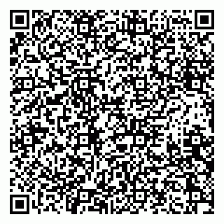 vCard 79397132027