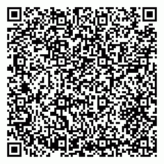 vCard 79397132029