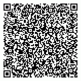 vCard 79397132032
