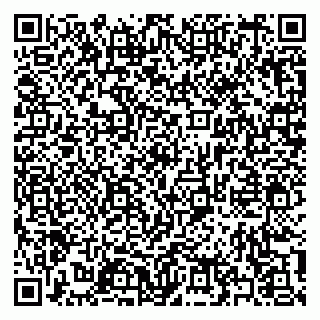 vCard 79397132085