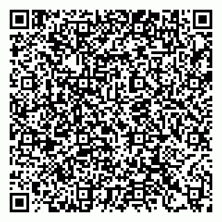 vCard 79397132087