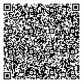 vCard 79397132099