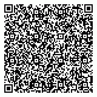 vCard 79397132105