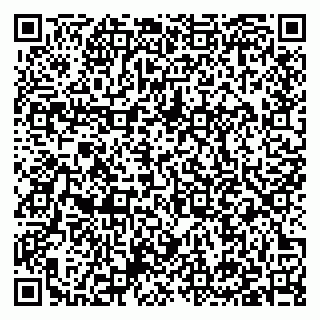 vCard 79397132111