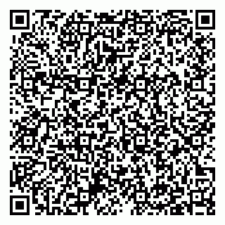 vCard 79397132117